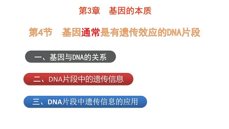 3.4 基因通常是有遗传效应的DNA片段 课件【新教材】2020-2021学年高一生物人教版(2019)必修二第3页