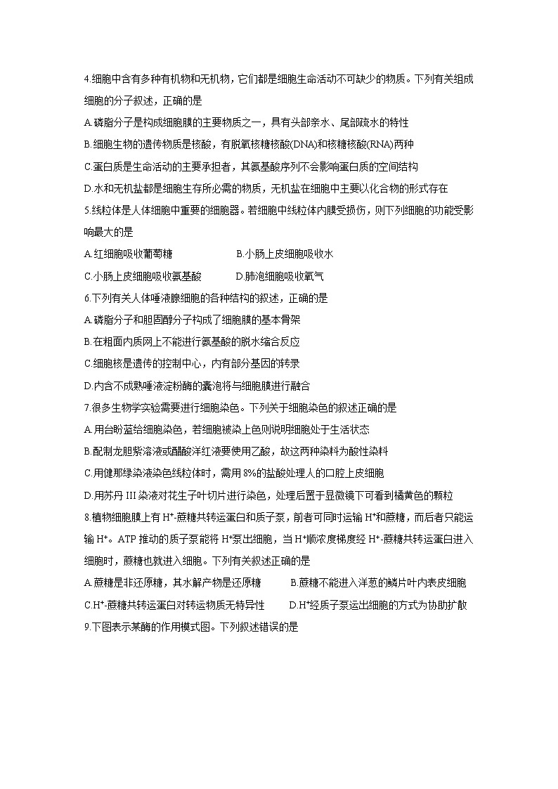 2022名校联盟高三上学期9月质量检测巩固卷(老高考)生物含答案第2页