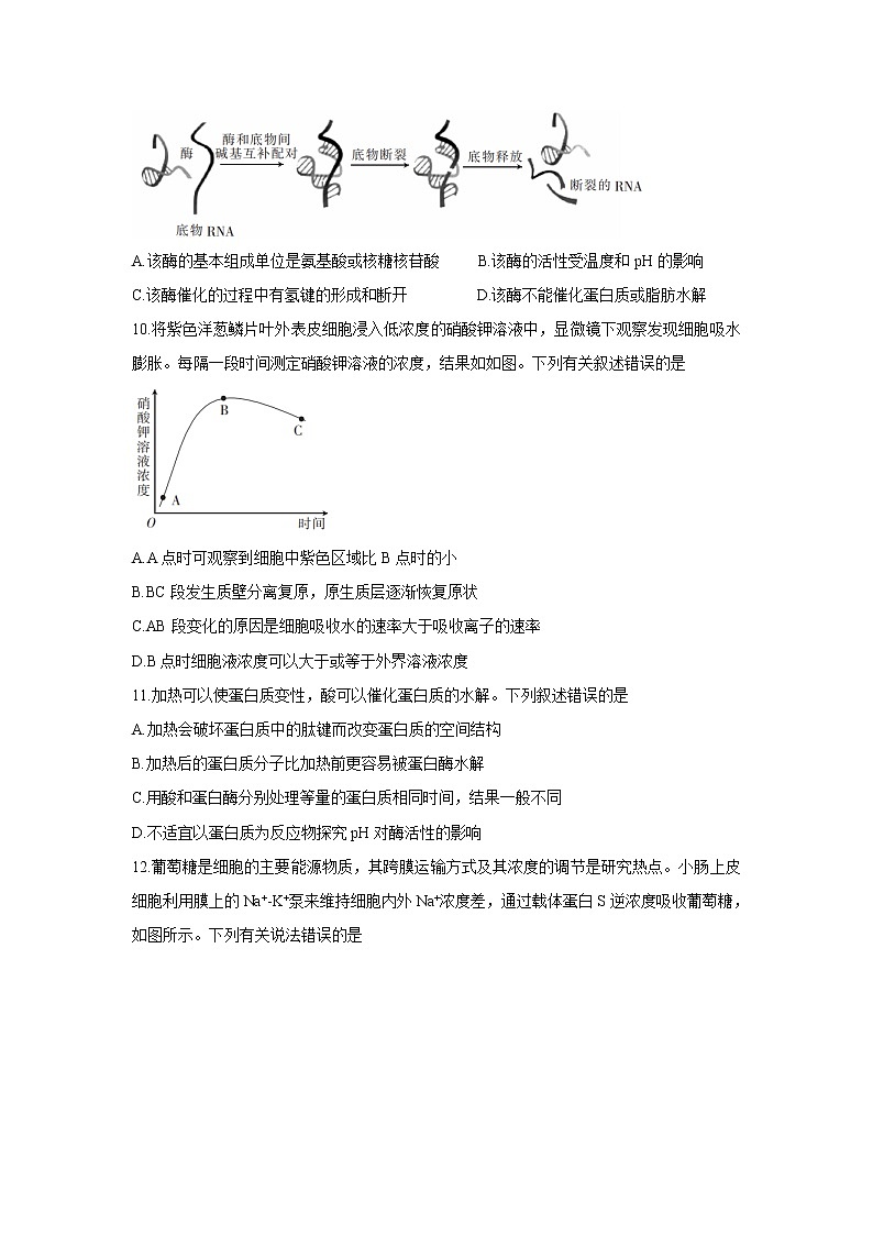 2022名校联盟高三上学期9月质量检测巩固卷(老高考)生物含答案第3页