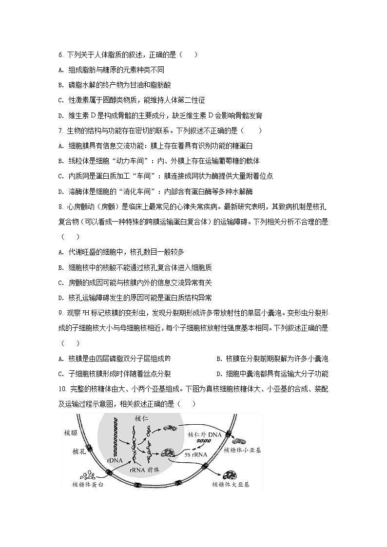2022盐城伍佑中学高三上学期期初调研考试生物试题含解析第2页