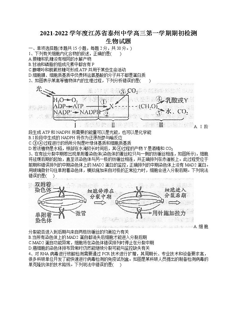 2022泰州中学高三上学期期初检测生物试题含答案第1页