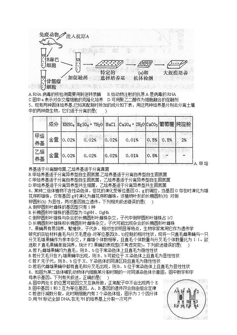 2022泰州中学高三上学期期初检测生物试题含答案第2页