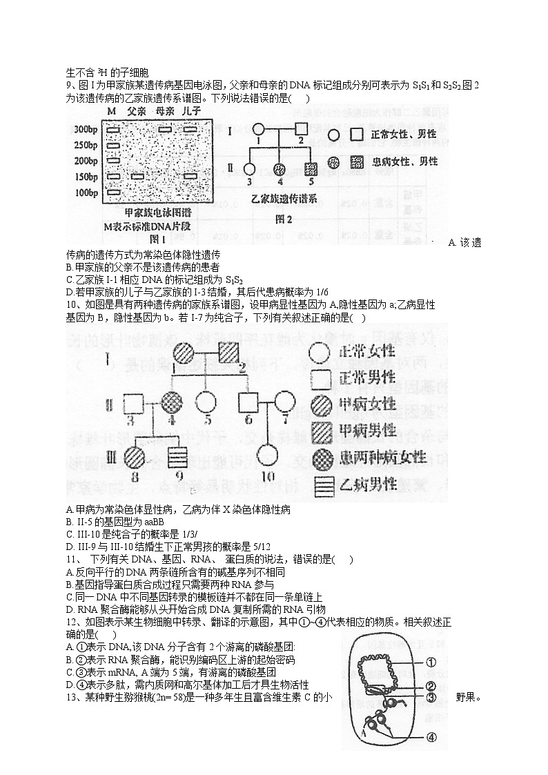 2022泰州中学高三上学期期初检测生物试题含答案第3页