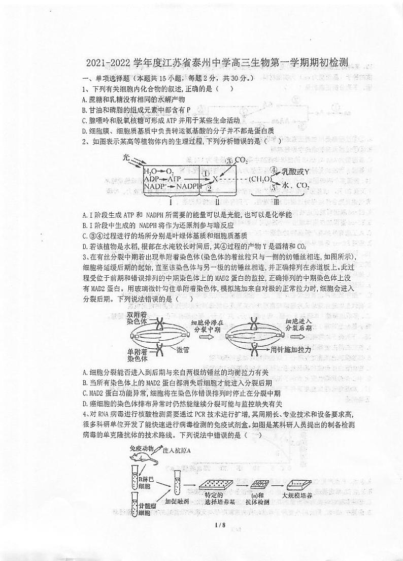江苏省泰州中学2021-2022学年高三上学期期初检测生物试题第1页