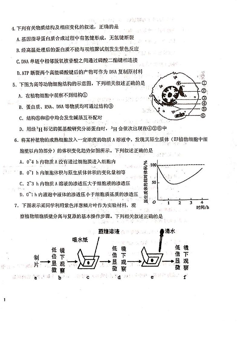 生物试题第2页