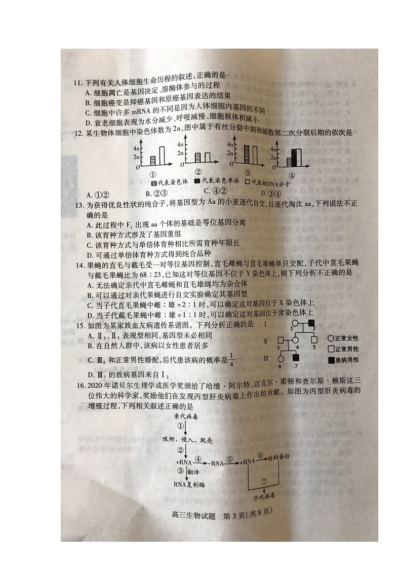 2022运城高三上学期入学摸底测试生物试题扫描版含答案第3页