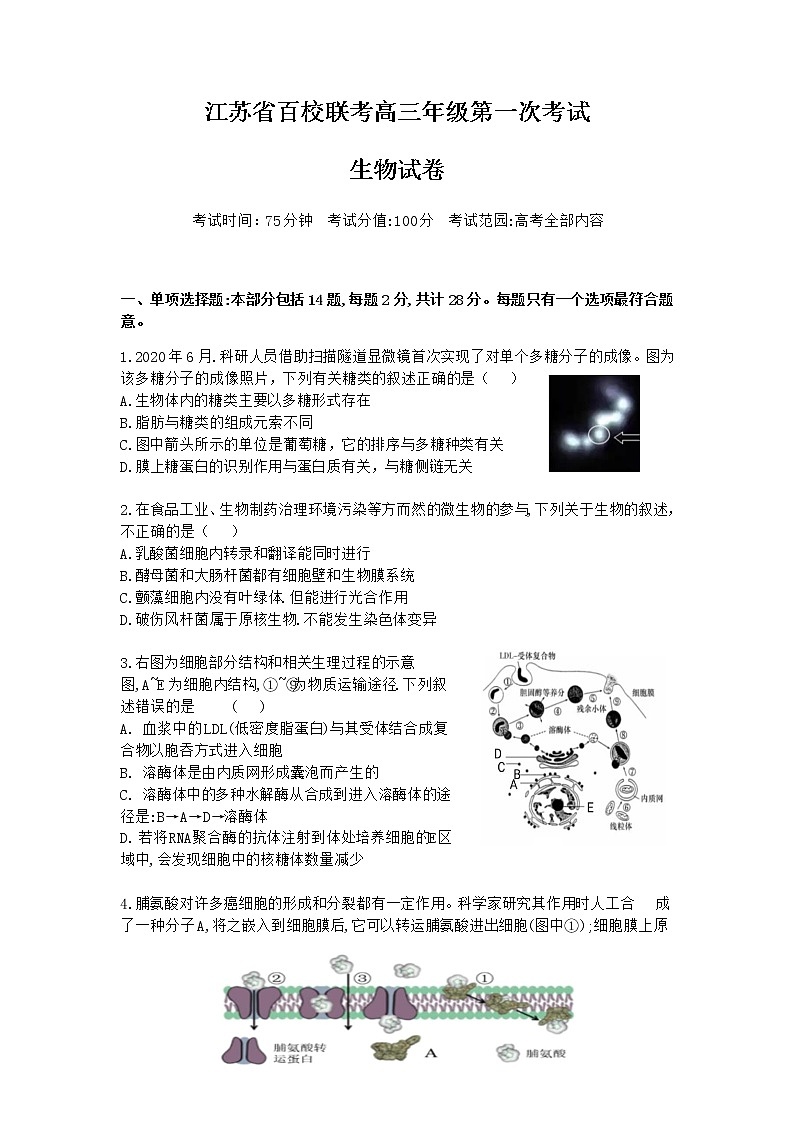 2022江苏省百校高三上学期第一次联考生物试题含答案01