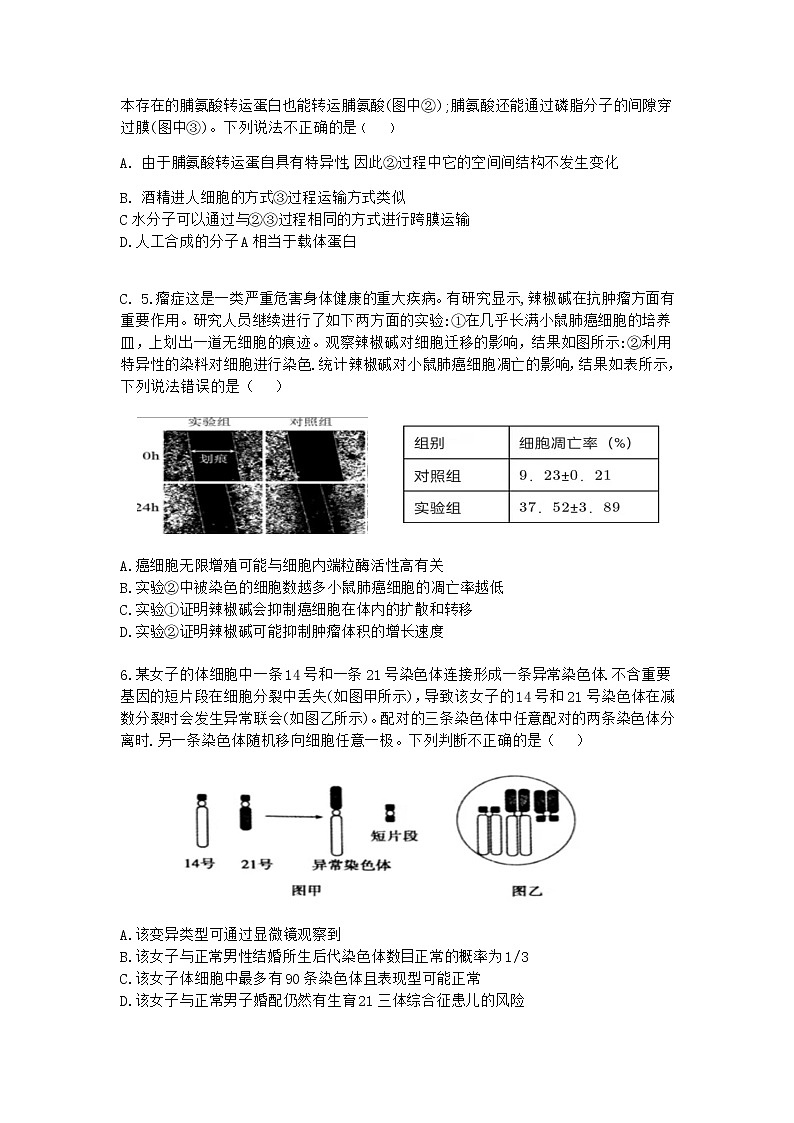 2022江苏省百校高三上学期第一次联考生物试题含答案02