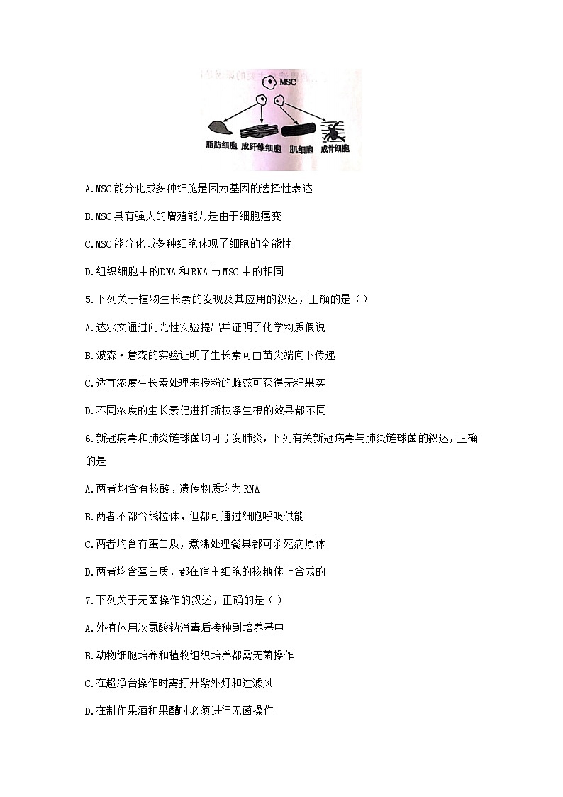 2022浙江省“七彩阳光”新高考研究联盟高三上学期8月返校考试生物试题含答案02