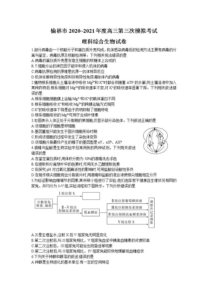 2021榆林高三下学期高考模拟第三次测试(三模)理综生物试题含答案第1页