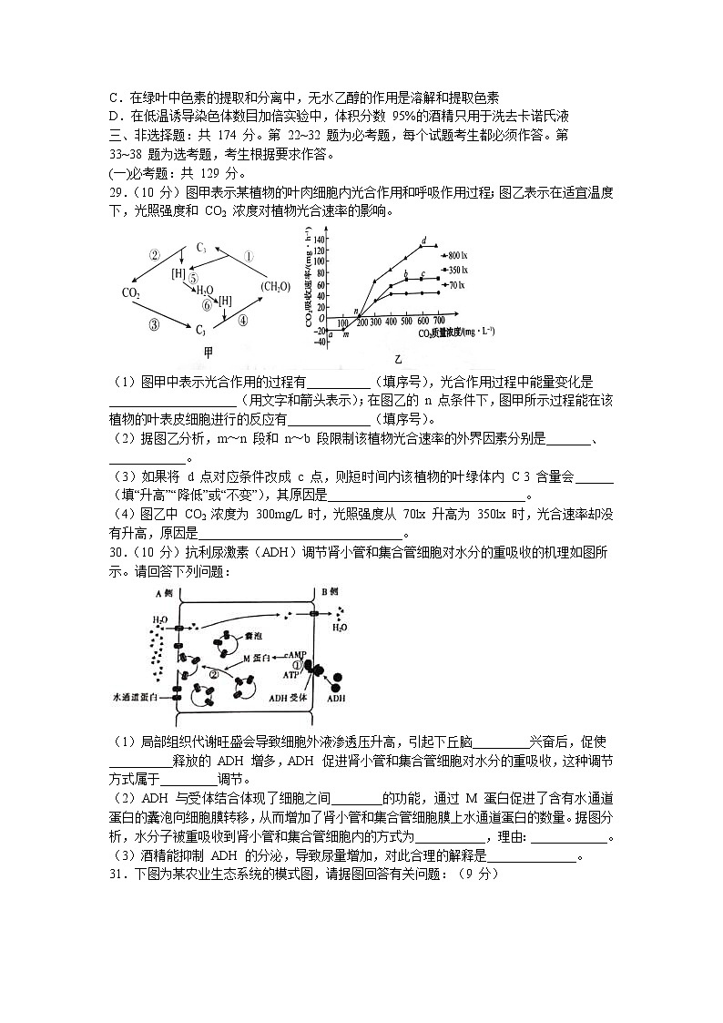 2021新安县一中高三下学期二练热身练理科综合生物试题含答案第2页