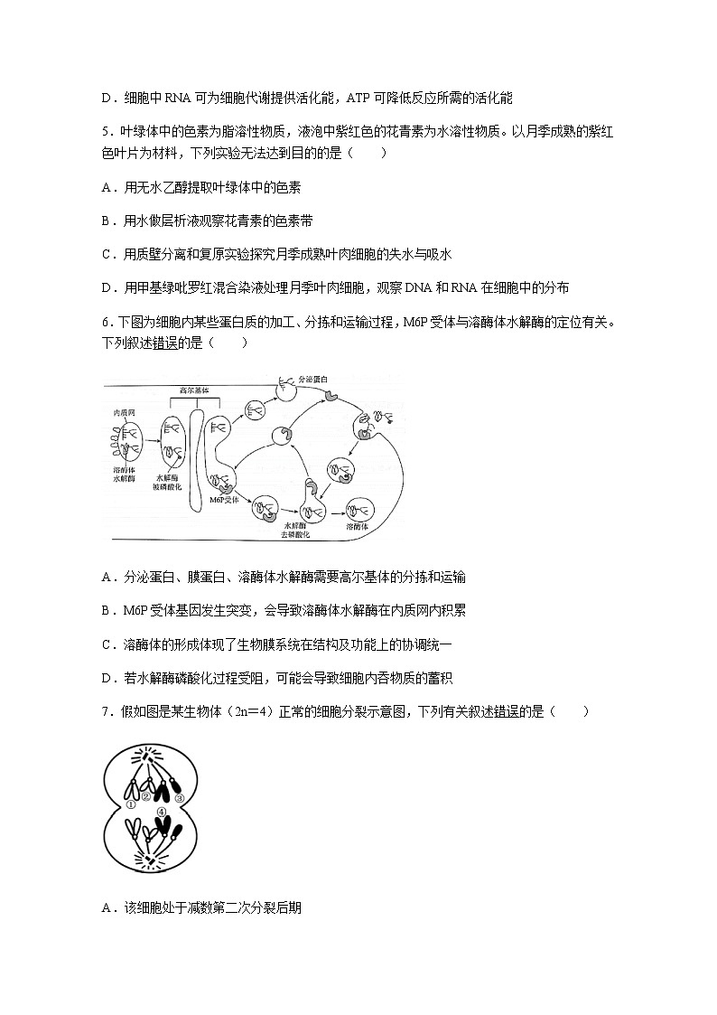 2021重庆市西南大学附中高三下学期第五次月考生物试题含答案第2页