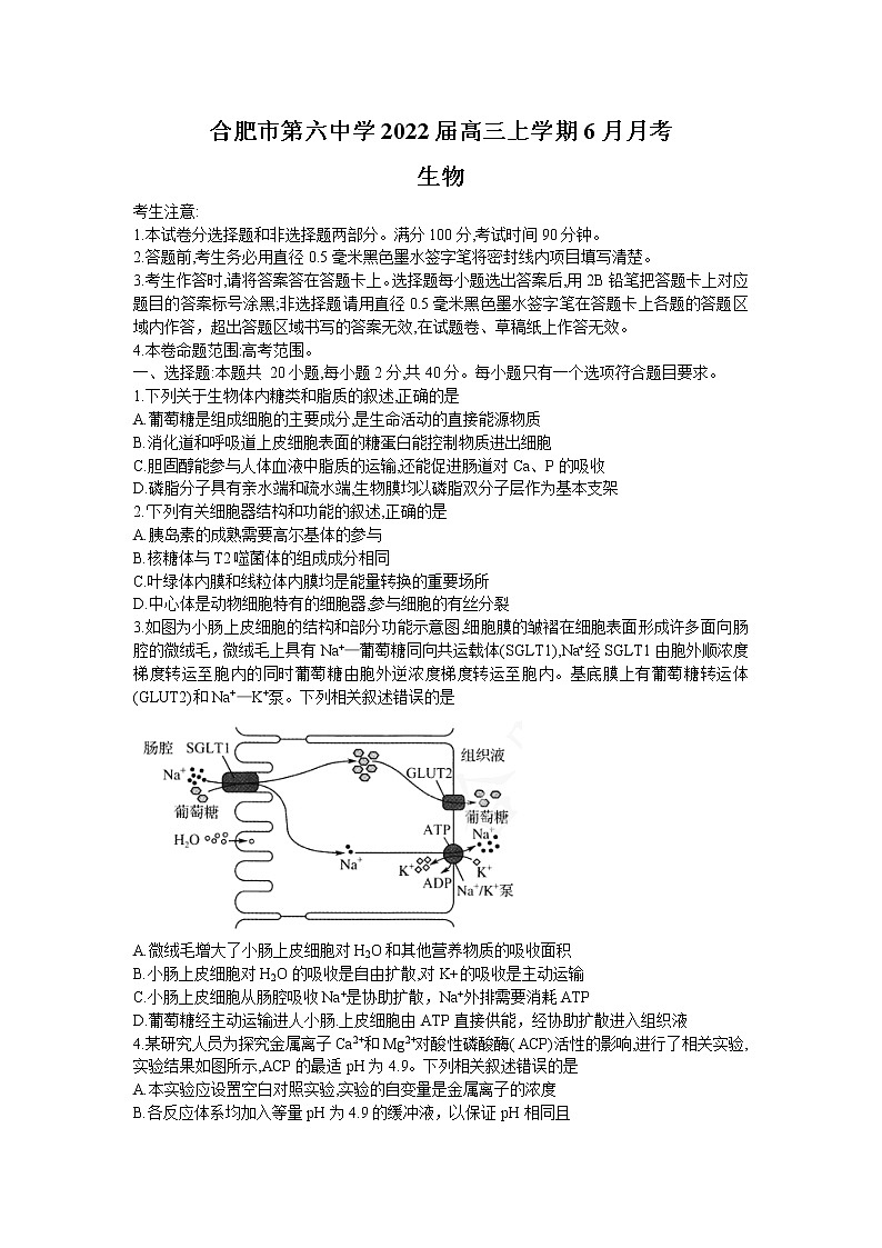 安徽省合肥市第六中学2022届高三上学期6月月考生物试题 Word版第1页