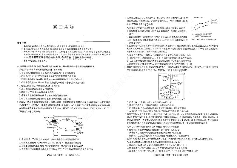 2022合肥六中高三上学期6月月考生物试题PDF版含答案第1页