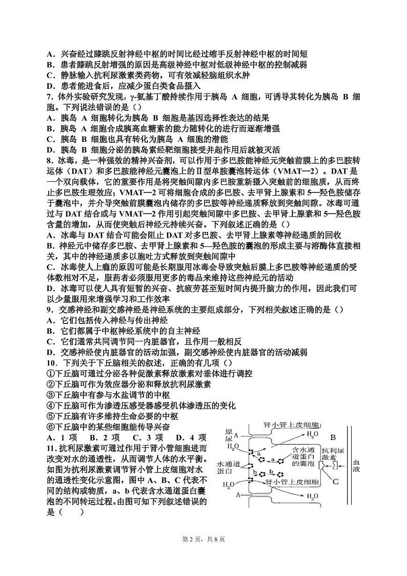 2022潍坊四中高二上学期10月过程检测生物试题(PDF版含答案)第2页
