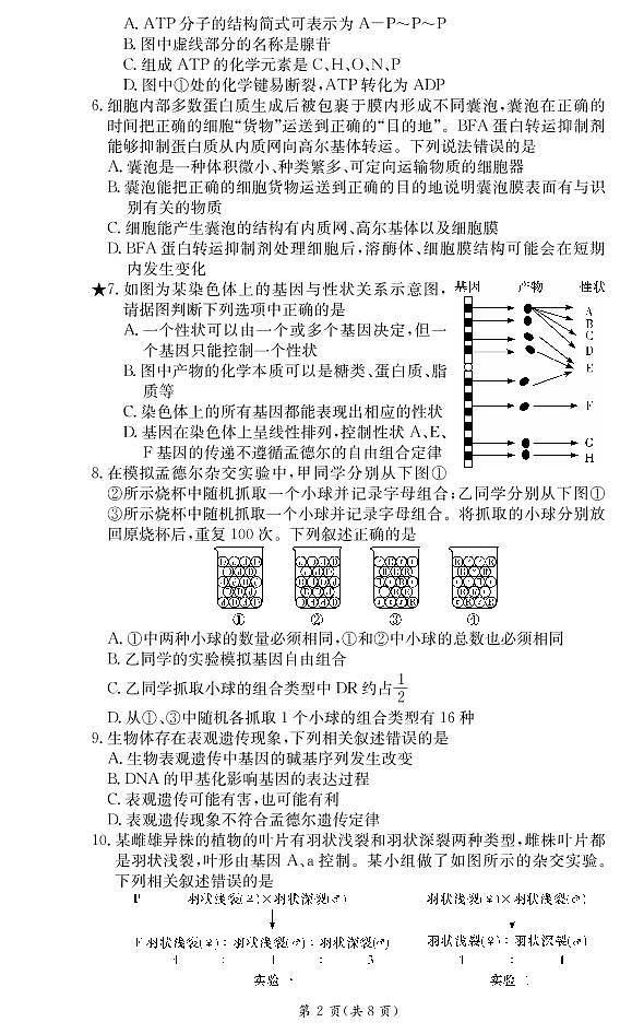 2022广东省顶级名校高二上学期入学考试生物试题PDF版含答案第2页
