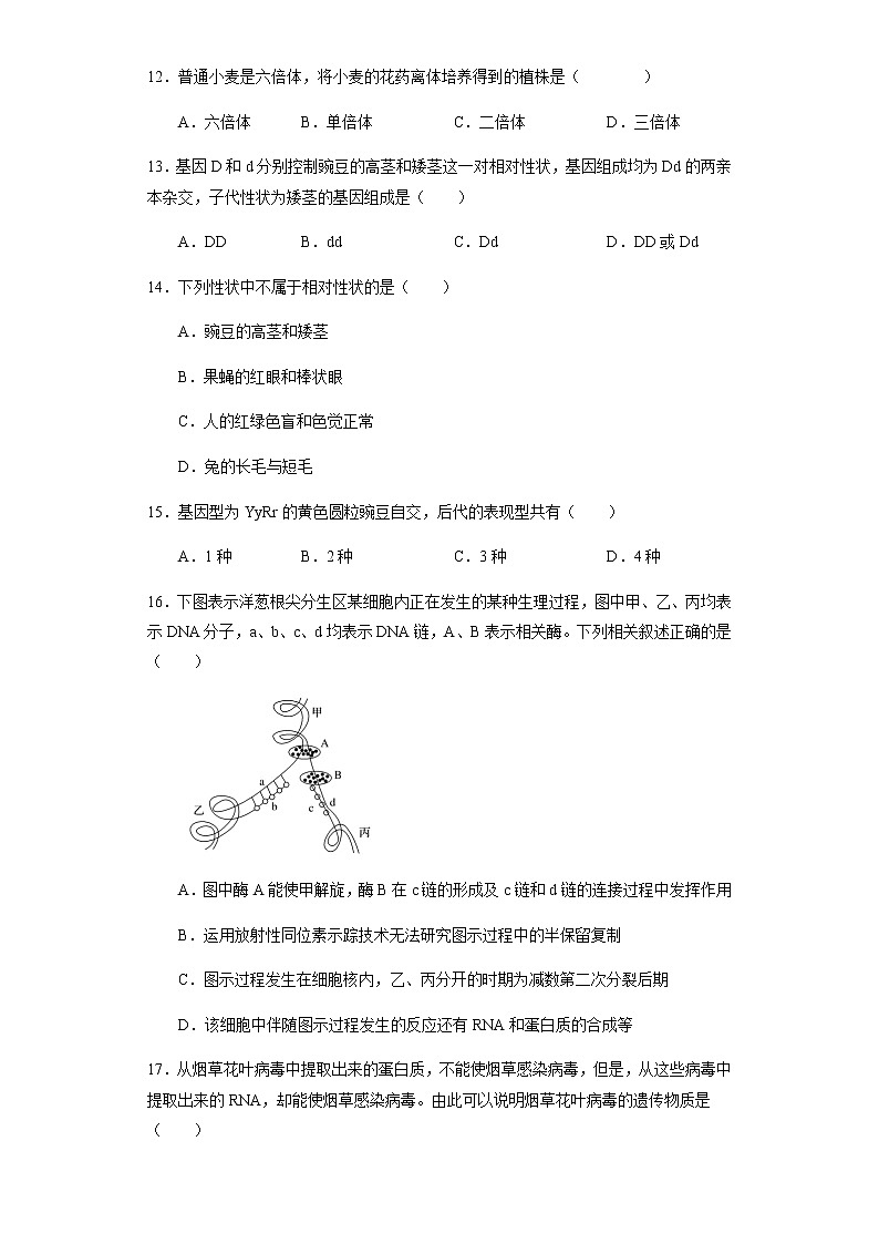 2022省齐齐哈尔三立高级中学高二上学期期初考生物试题含答案第3页