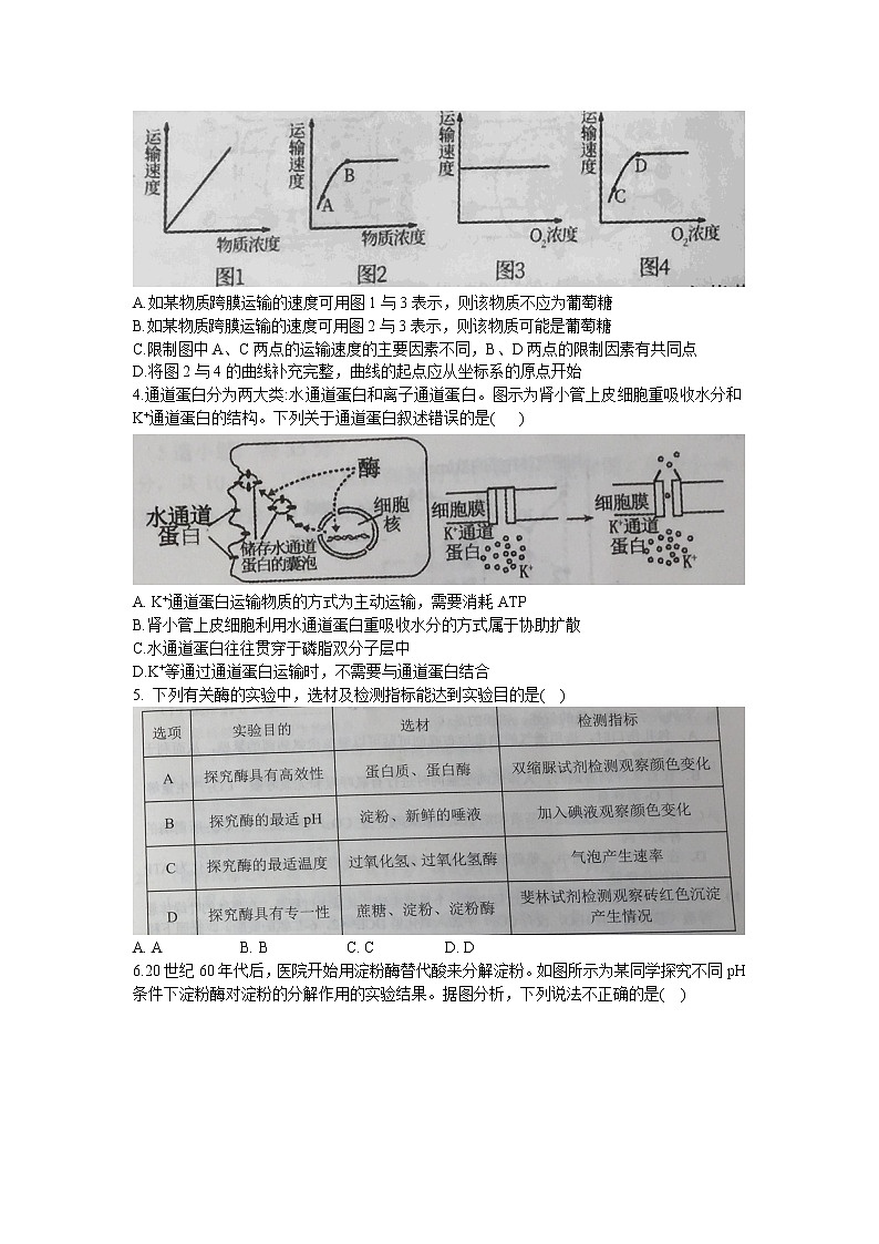 2021沈阳郊联体高二下学期期末考试生物试题含答案第2页
