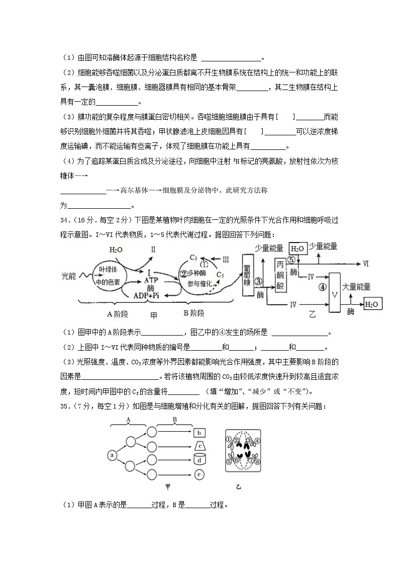 2021自治区拉萨中学高二下学期第七次月考理综生物试题含答案03