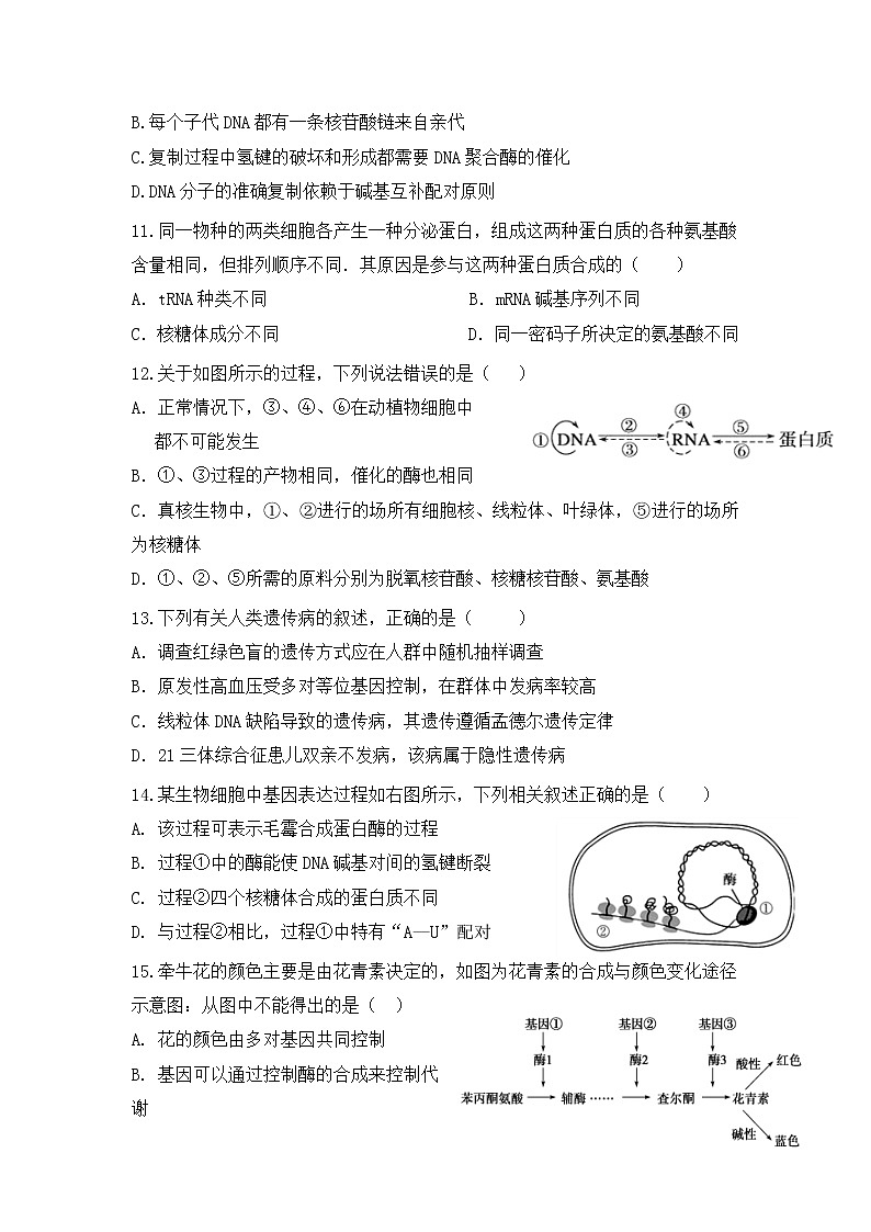 2021巴彦淖尔乌拉特前旗一中高二下学期期末考试生物试题含答案第3页