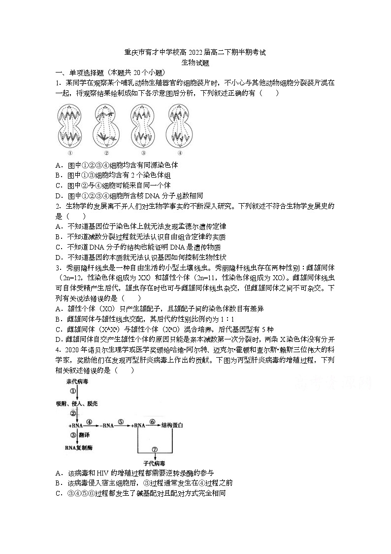 2021重庆市育才中学校高二下学期期中考试生物试题含答案01