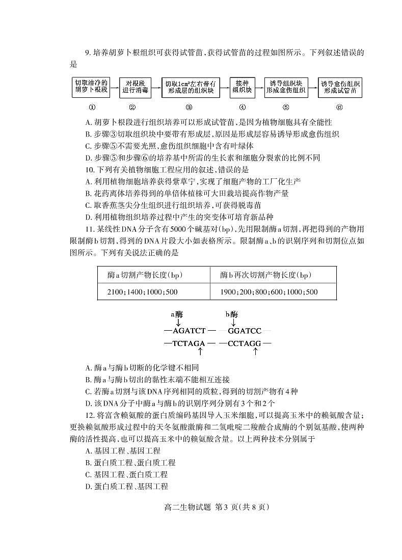 山東省泰安市2020-2021學(xué)年高二下學(xué)期期末考試生物試題（PDF版）第3頁