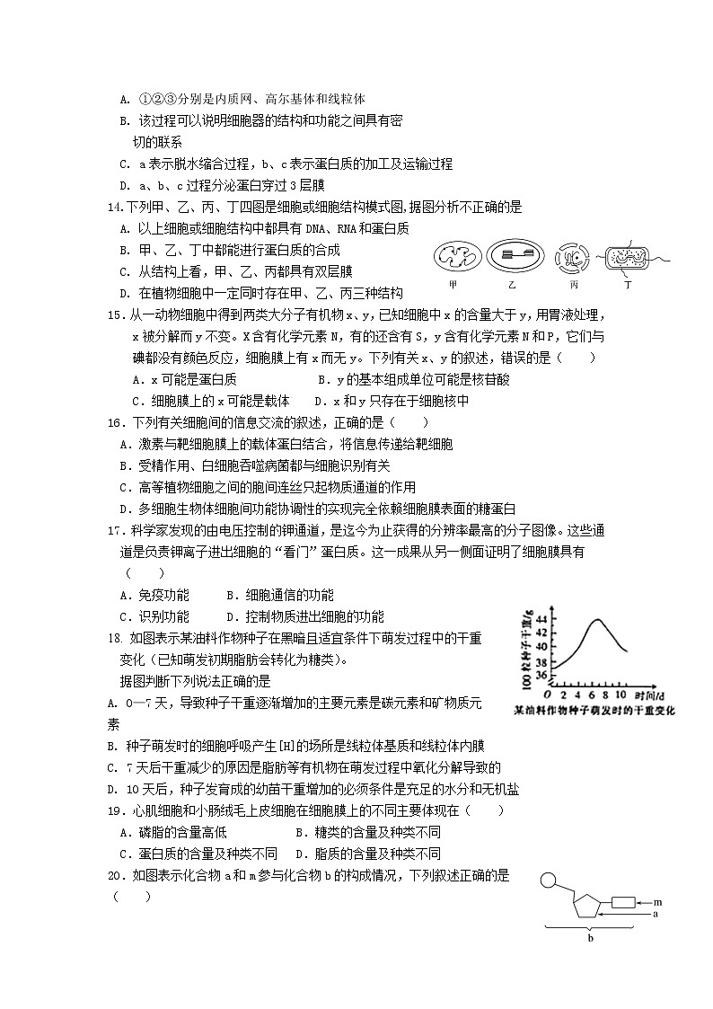 2021省雙鴨山一中高二下學(xué)期期末考試生物試題含答案第3頁(yè)
