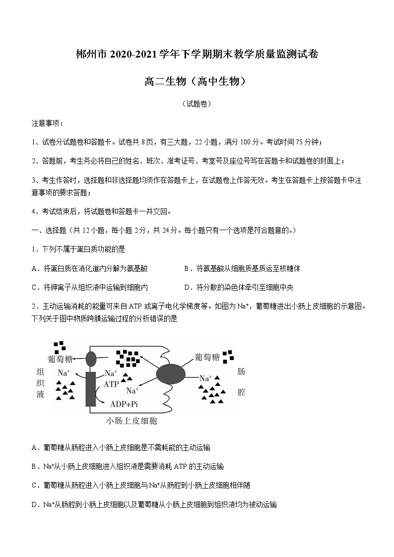 2021郴州高二下学期期末考试生物试题含答案01