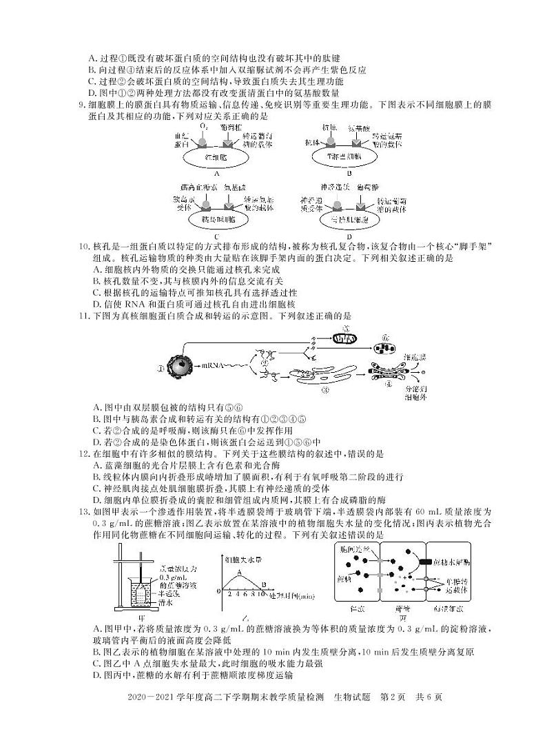 信阳高二下 生物第2页