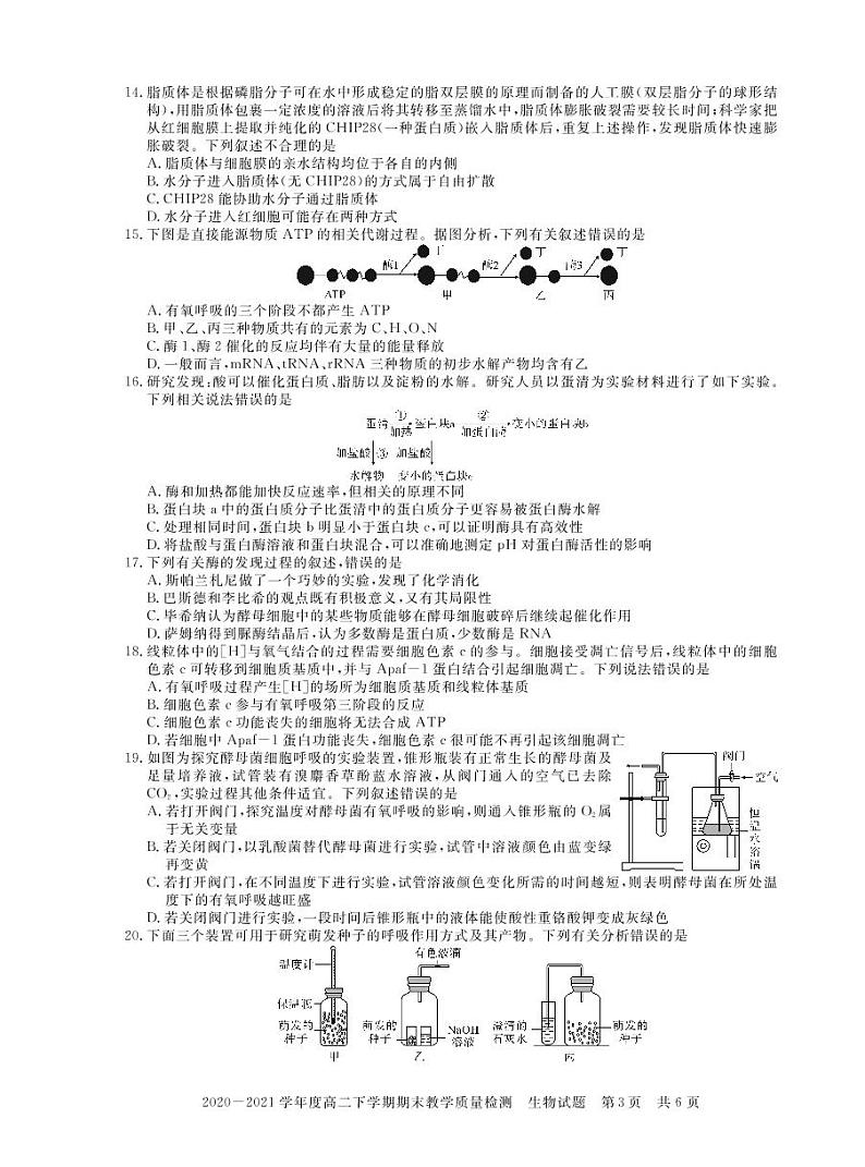 信阳高二下 生物第3页