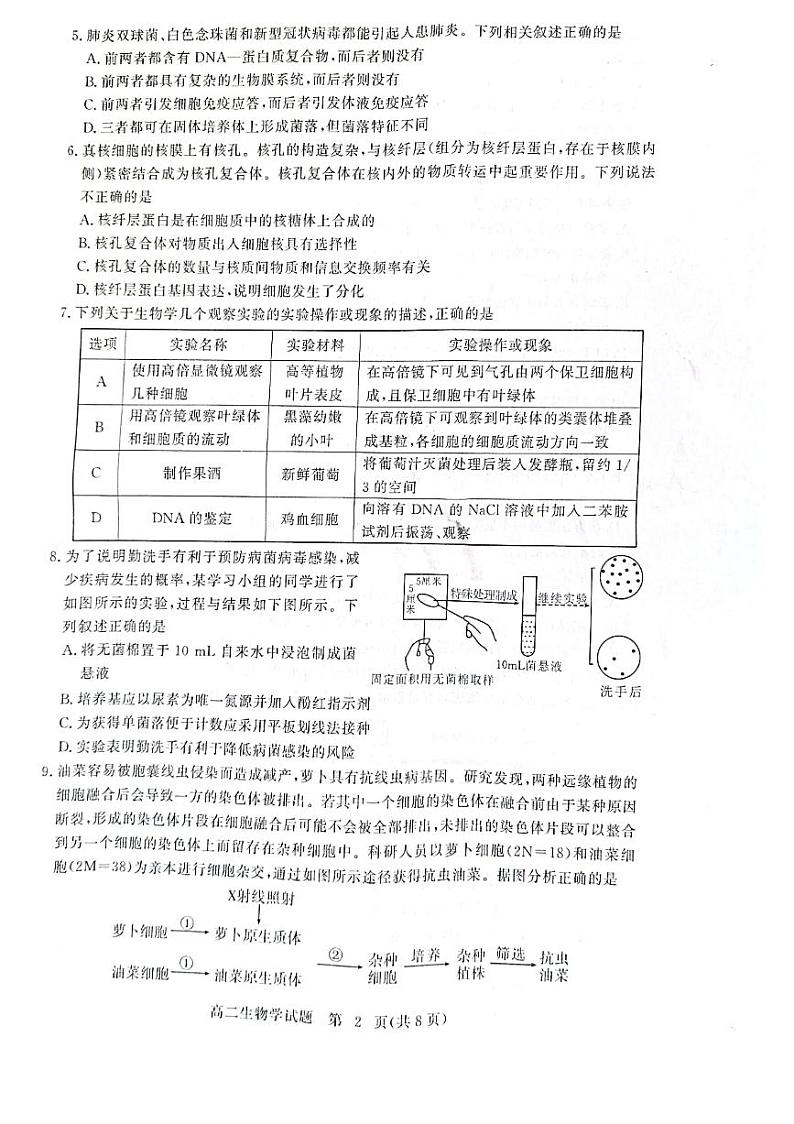 2021黄冈高二下学期期末生物试卷图片版含答案02