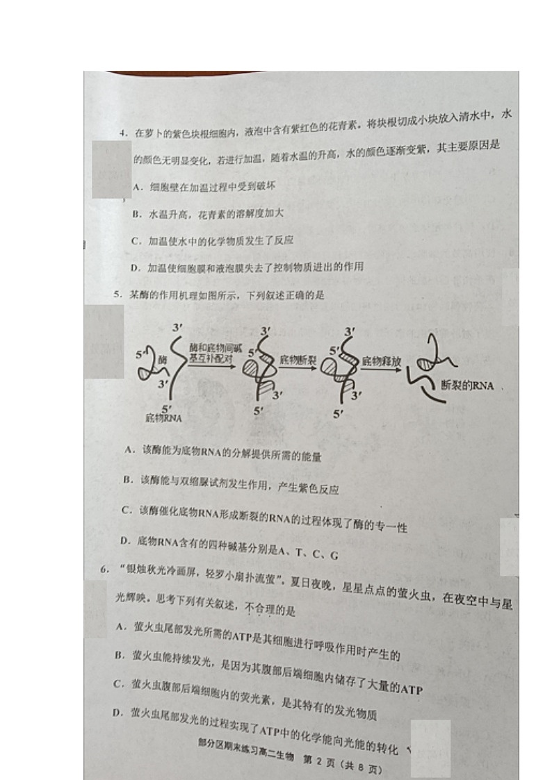2021天津市部分区高二下学期期末考试生物试题图片版含答案02