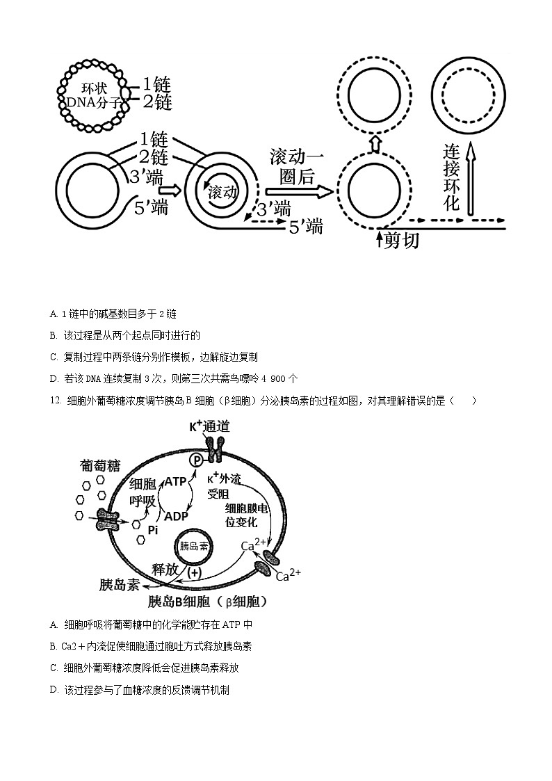 2021新乡名校高二下学期期末联考生物试题含答案第3页