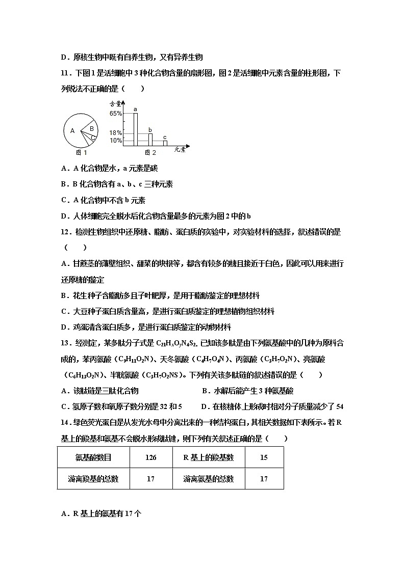 2021淮北树人高级中学高二下学期期中考试生物试卷含答案第3页