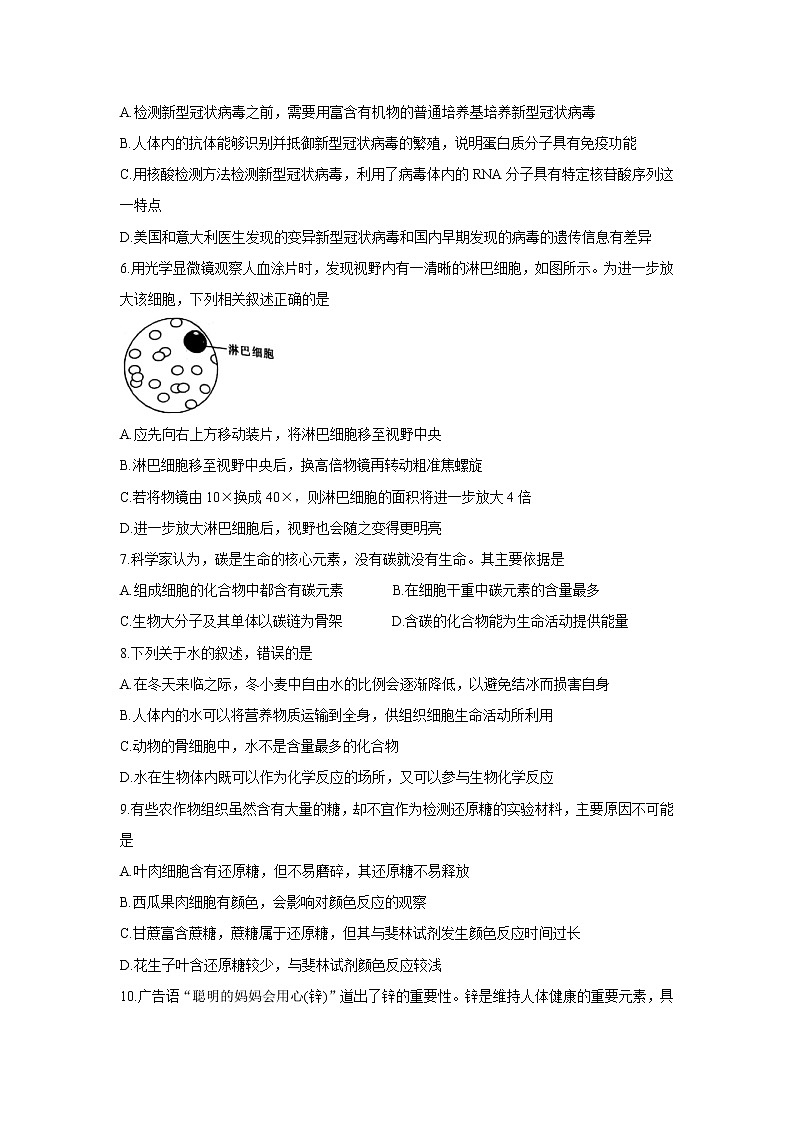 2022河南省创新发展联盟高一上学期第一次联考(10月)生物含答案第2页