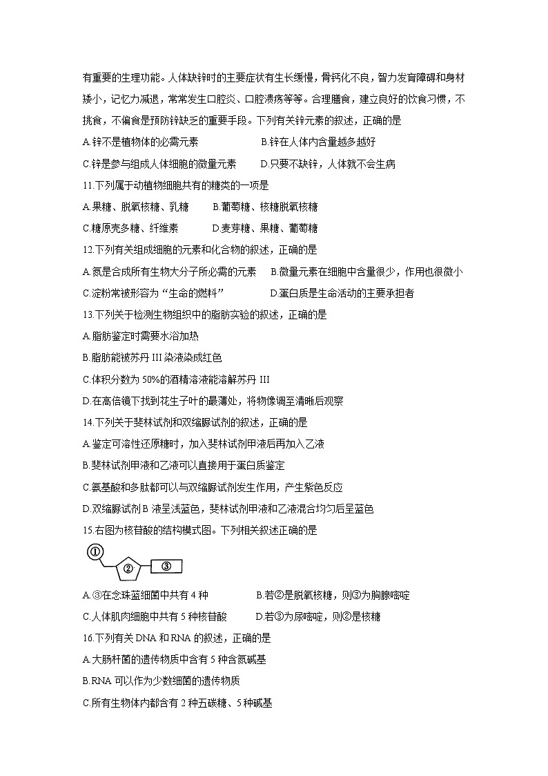 2022河南省创新发展联盟高一上学期第一次联考(10月)生物含答案第3页