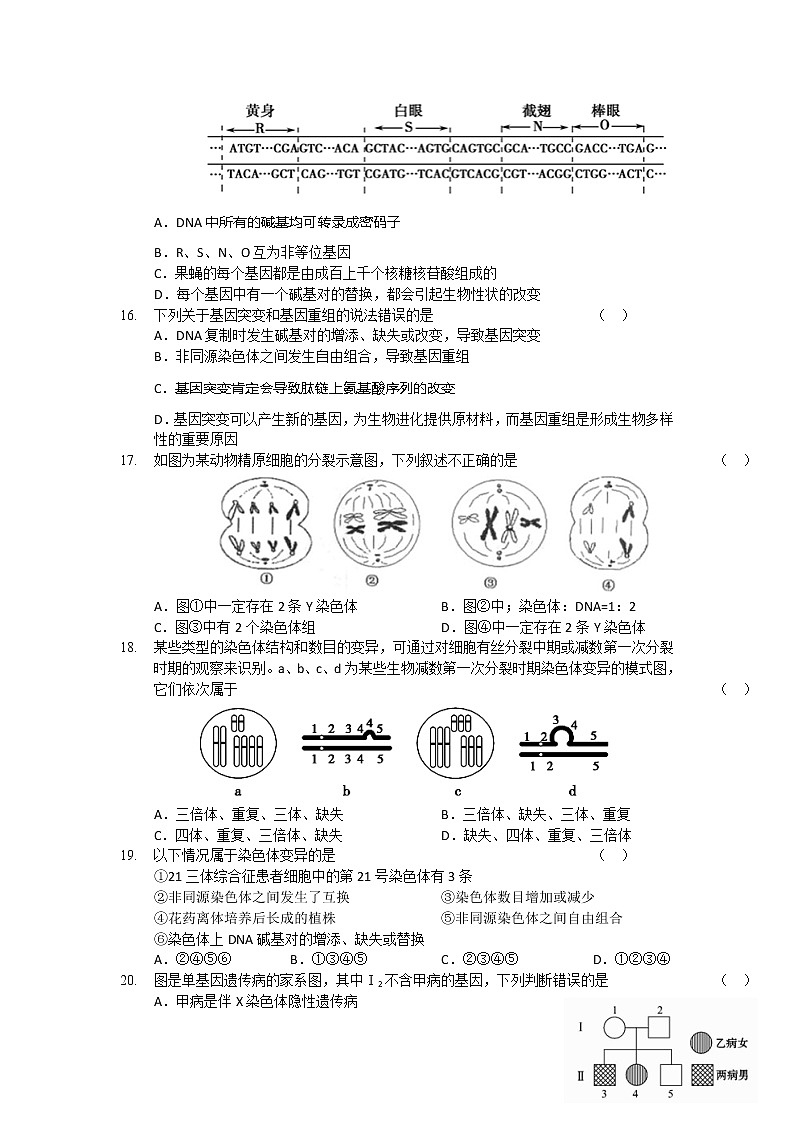 2021陕西省绥德中学高一下学期期末生物试题含答案第3页