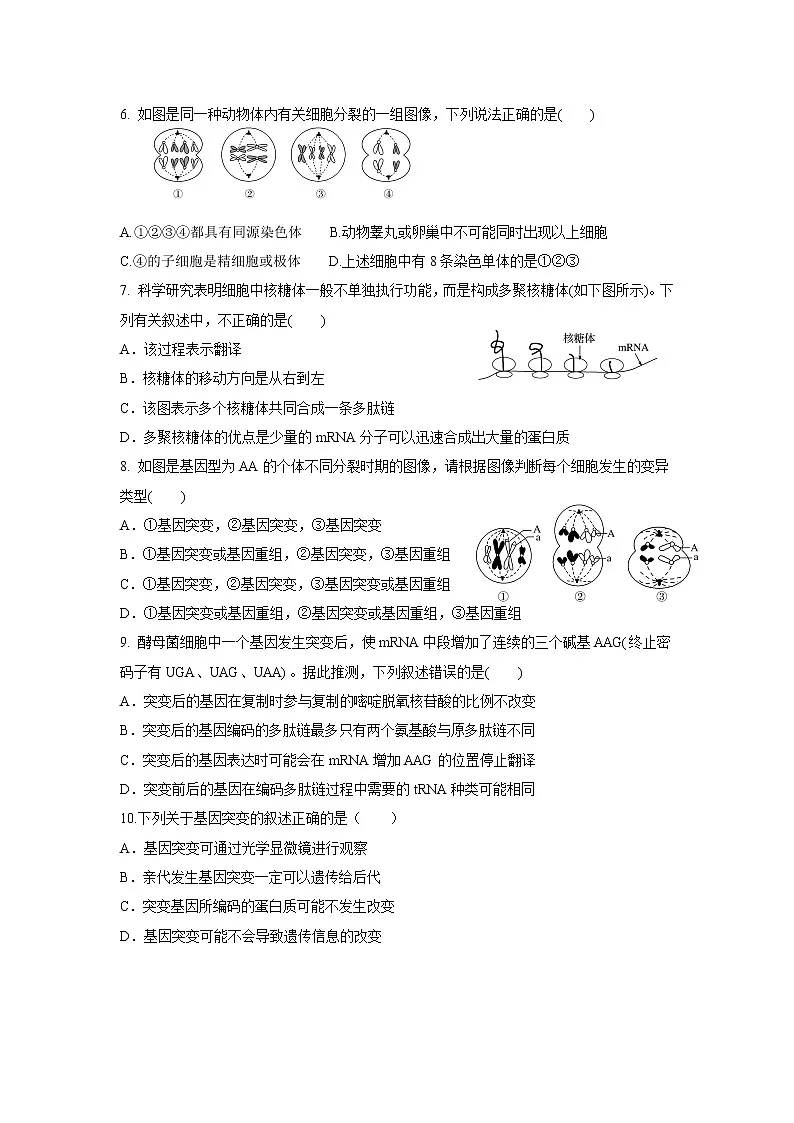 2021天津静海区四校高一下学期5月份阶段性检测生物试题含答案第2页