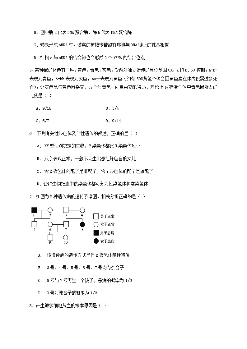 2021铁岭六校高一下学期期末联考生物试题含答案第2页