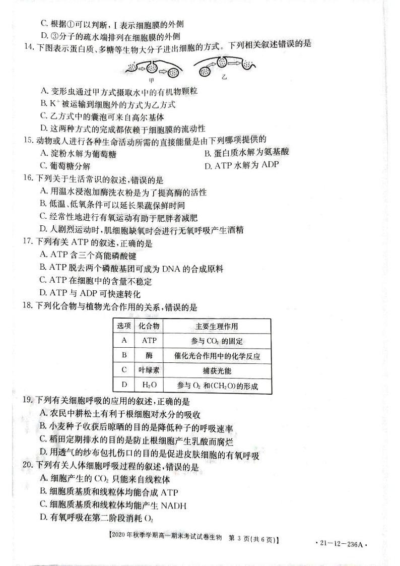 贵州省黔西南州2020-2021学年高一上学期期末生物试卷(pdf版)第3页