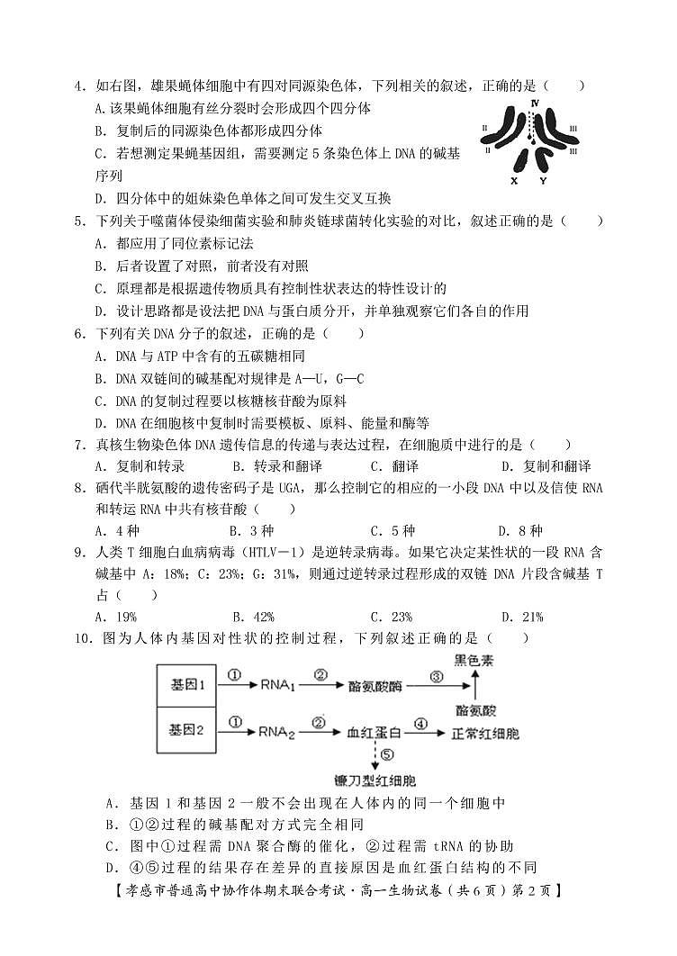 孝感市普通高中2020-2021学年高一下学期期末考试生物试卷(PDF版)第2页