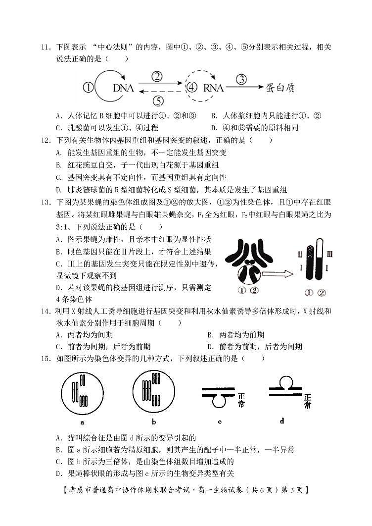 孝感市普通高中2020-2021学年高一下学期期末考试生物试卷(PDF版)第3页