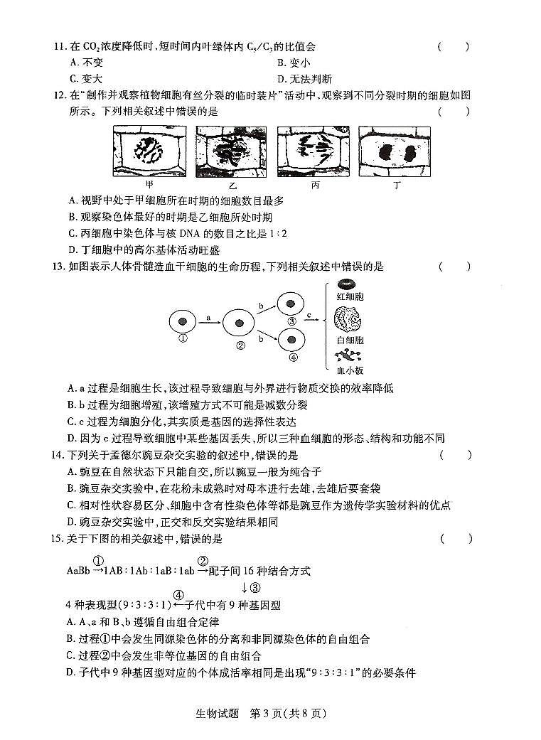 河南名校联盟2020-2021学年高一(下)期末考试生物第3页