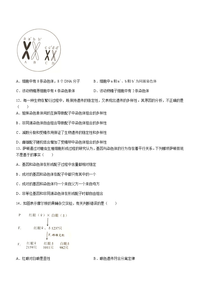 2021深圳高一下学期期末考试生物试题含答案第3页