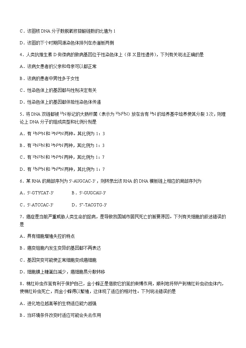 2021龙岩高一下学期期末考试生物试题含答案第2页