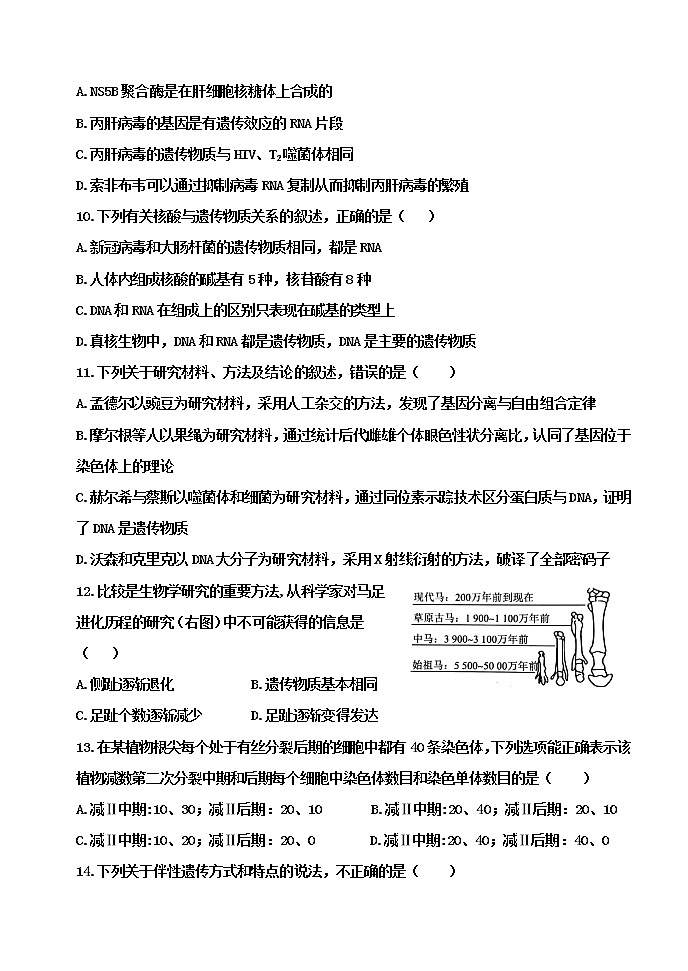 2021省鹤岗一中高一下学期期末考试生物试题含答案第3页
