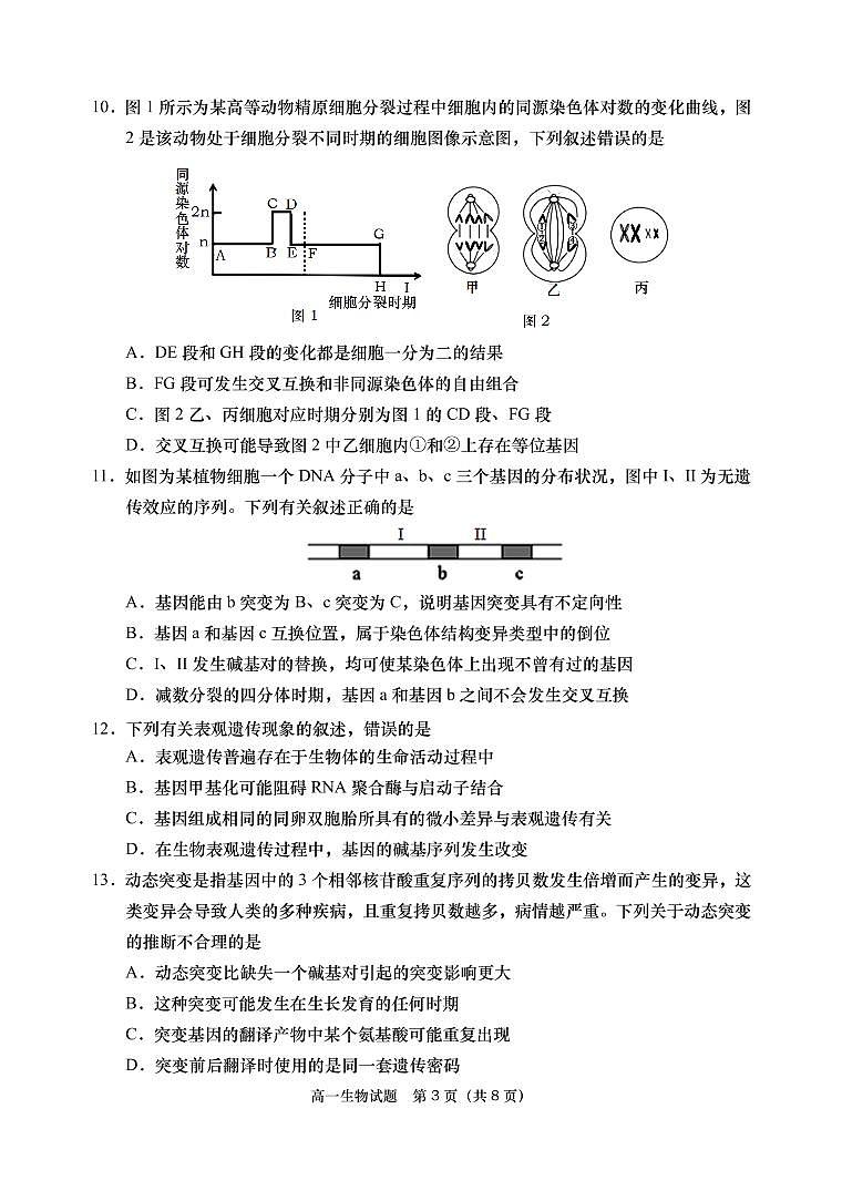山東省青島膠州市2020-2021學(xué)年高一下學(xué)期期末考試生物試題(PDF版)第3頁