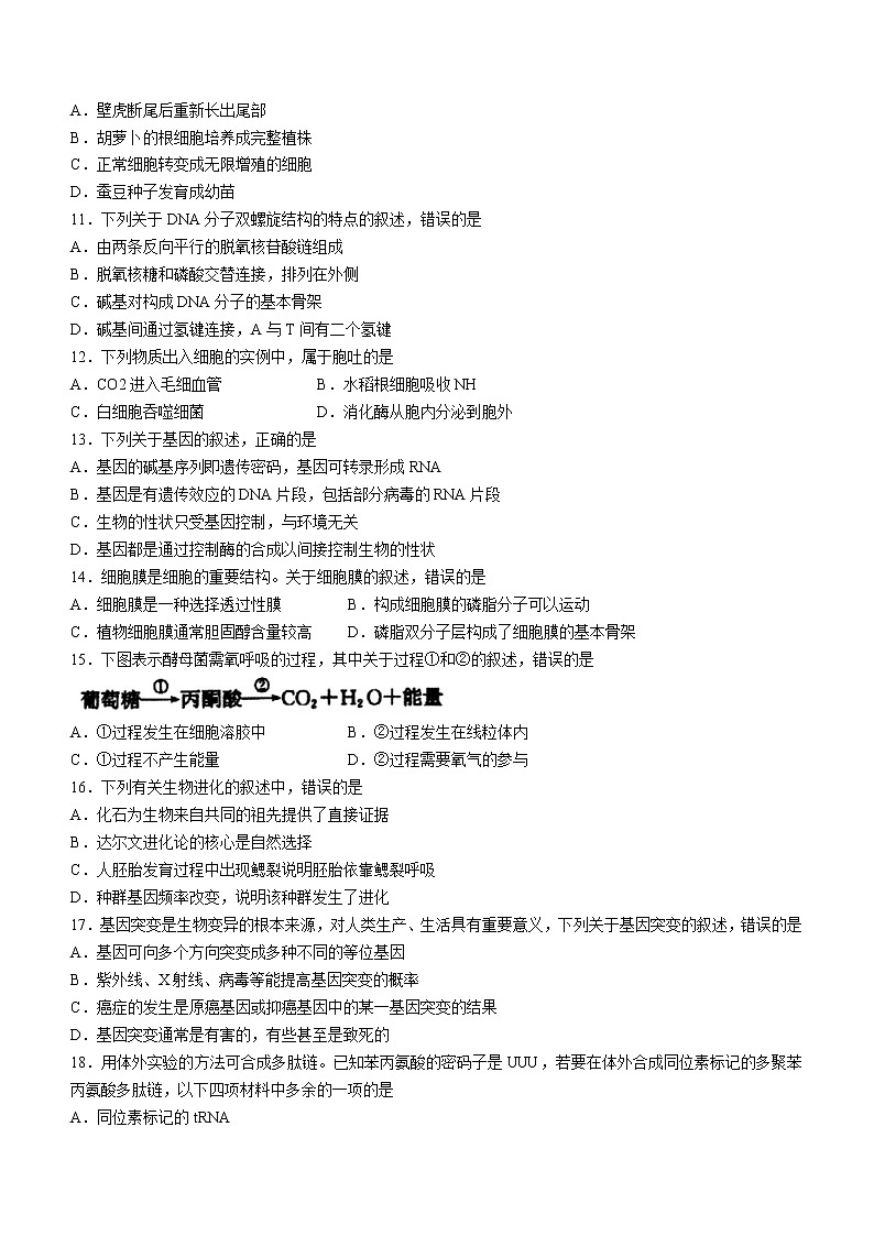 2021绍兴柯桥区高一下学期期末生物试题含答案第2页