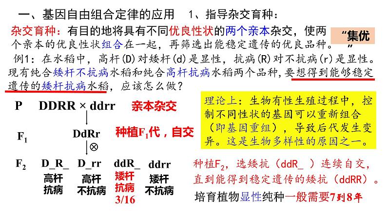 1.2 自由组合定律的应用与解题策略 课件【新教材】2020-2021学年高一生物人教版(2019)必修二第6页