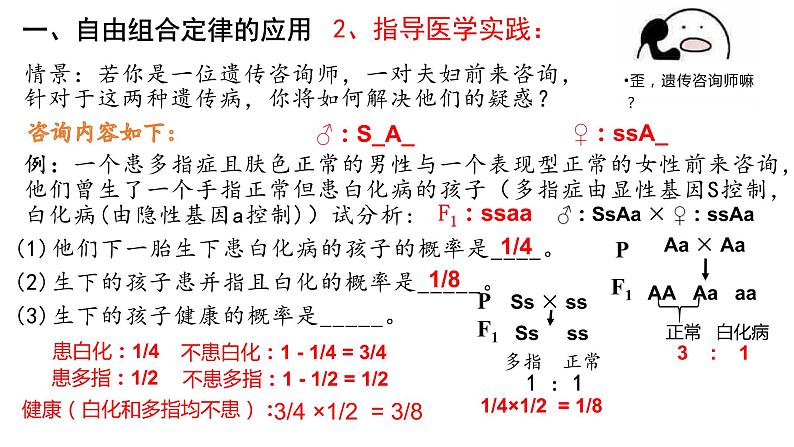 1.2 自由组合定律的应用与解题策略 课件【新教材】2020-2021学年高一生物人教版(2019)必修二第8页
